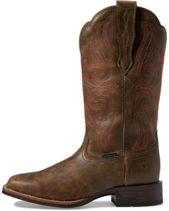 Ariat Primera Stretchfit | Boots -Shoefinity Shop 61F1lSkfuL. AC SR736920