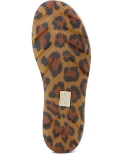 Ariat Cruiser Rodeo Quincy | Sneakers & Athletic Shoes -Shoefinity Shop 61tTq1nYSbL. AC SR736920