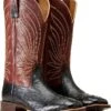 Ariat Brandin' Ultra Western Boot | Boots -Shoefinity Shop 81OZnz9XfWL. AC SR736920